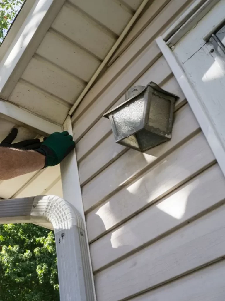 Choosing the Right Siding Contractor in Calgary: Guide - Bro Construction Calgary